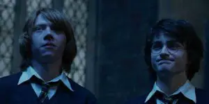 Ron y Harry en el cáliz de fuego, Harry Potter